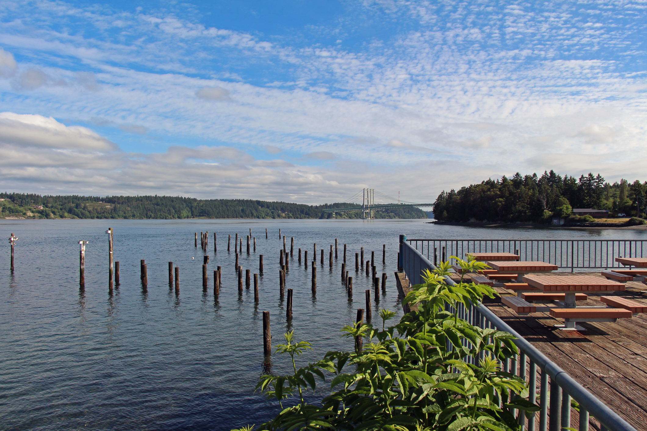 Puget Sound taken from Steamer's Café, University Pl. WA